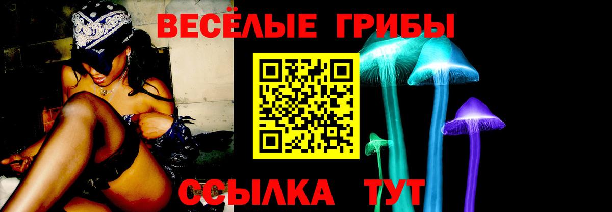 Галлюциногенные грибы MAGIC MUSHROOMS  Галлюциногенные грибы GOLDEN TEACHER  Россия  Вход с VPN 